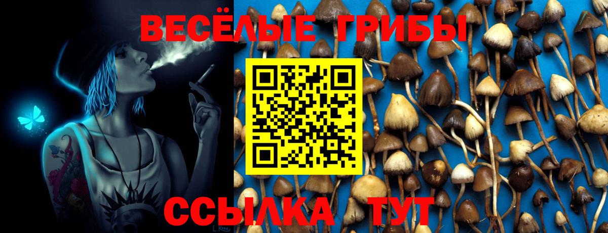 Галлюциногенные грибы мицелий Рославль
