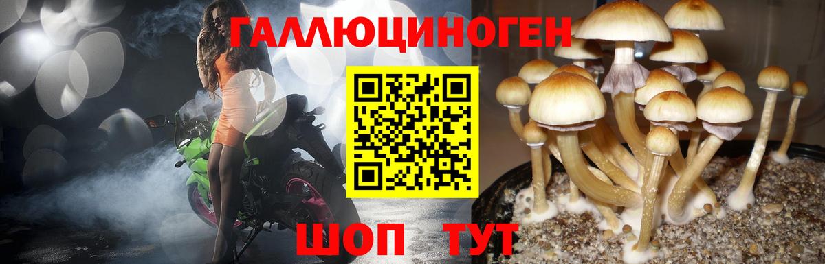 Галлюциногенные грибы ЛСД  Вход с VPN  Галлюциногенные грибы Psilocybe  Рославль 